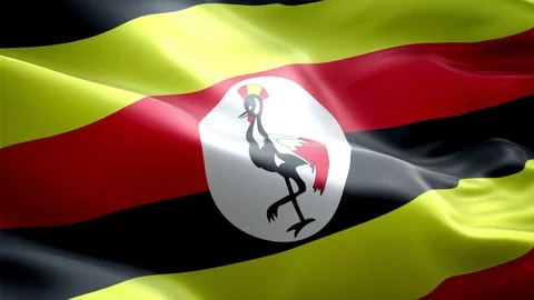 Uganda Flag Stock Footage 116405560