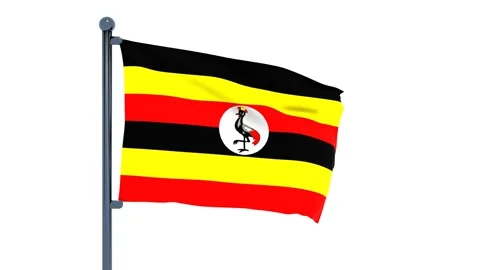 Uganda Flag Video stock 150541909