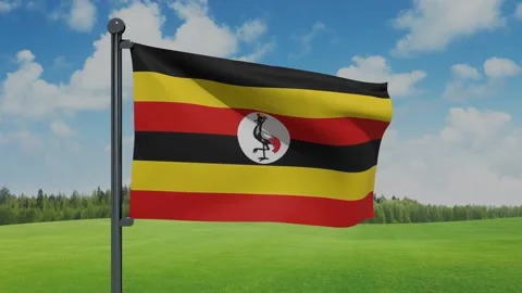 Uganda Flag Stock Footage 153256643