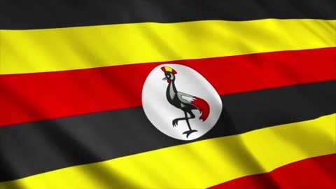 Uganda Flag Stock Footage 249034824