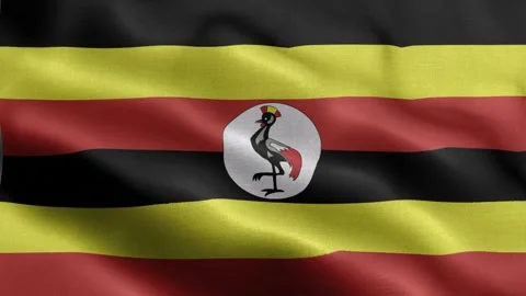 Uganda flag Front Stock Footage 318670504