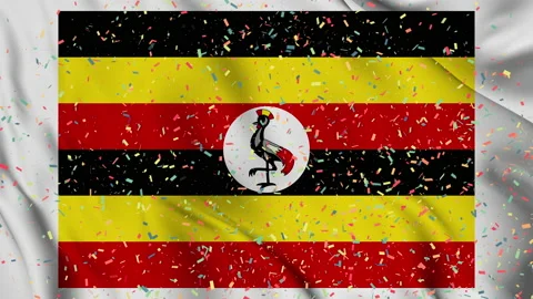 Uganda flag seamless animation with fireworks 스톡 동영상 223349335