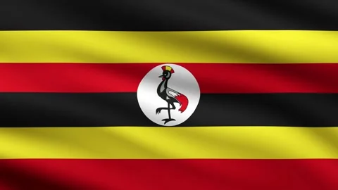 Uganda Flag Waving Animation Background Animated Flag Of Uganda flaying in wind Stock Footage 271703527