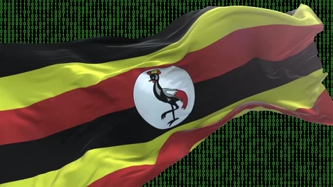 Uganda flag - Waving flag on matrix binary code background Stock Footage 321421996