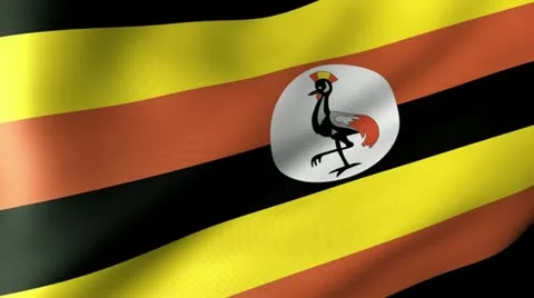 Uganda Flag Waving Stock Footage 12230329