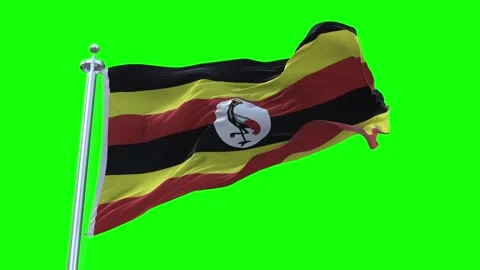 Uganda Flag Waving in Loopable and Textured green screen background Stock Footage 296875959