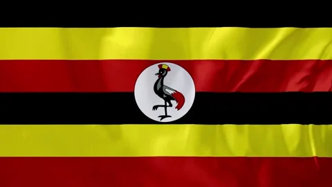 Uganda Flag Waving Motion Animation 4K Stock Footage 314644633