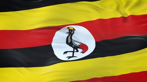 Uganda flag waving in the wind with highly detailed fabric texture 動画素材 122649881