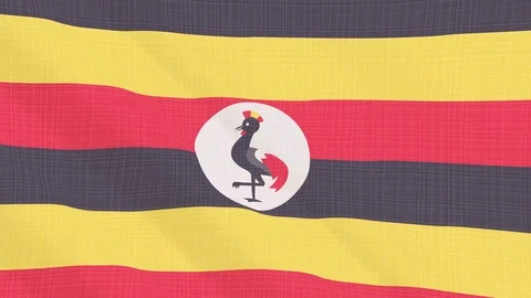 Uganda flag waving in the wind. Icon in the frame. Animation loop Stock Footage 83796573