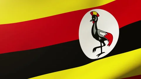 Uganda flag waving in the wind. Looping sun rises style.  Animation loop Stock Footage 48914794