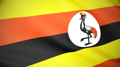 Uganda Stock-Footage 86390373