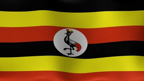 Uganda Stock-Footage 89124678