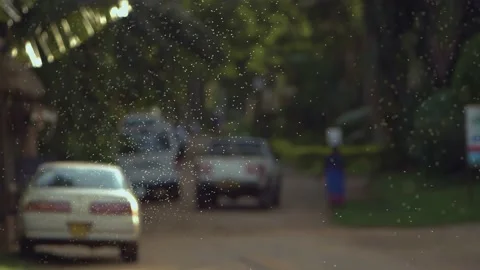 UGANDA Video stock 237954827