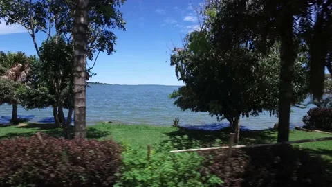 UGANDA Vidéo 238080758