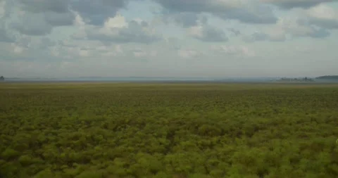 Uganda landscape overview Stock Footage 134535726