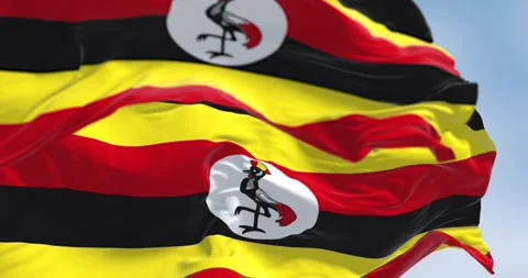 Uganda national flags waving in the wind Stock Footage 296751686