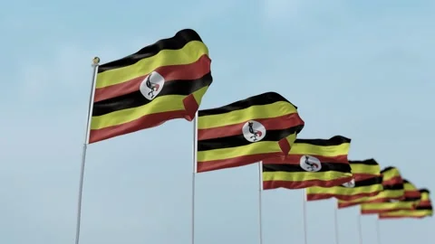 Uganda Row Of Flags Animation Stock-Footage 136267811