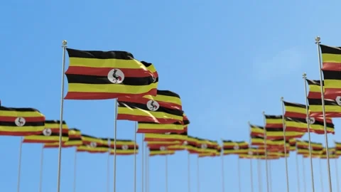 Uganda Row Of Flags Animation Stock-Footage 148802336