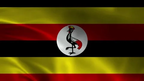 Ugandan Flag Stock Footage 336904208