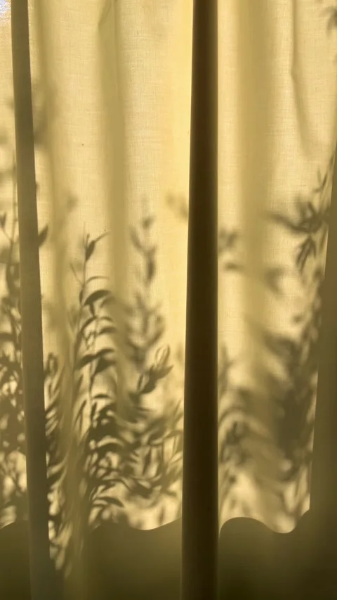UGC style vertical video of dappled light and tree plant shadow on curtain Stock Footage 333159321