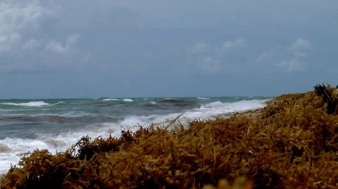 UGLY BEACH AND ROUGH WAVES Stock Footage 39802932