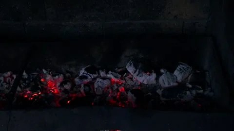 Ugly borovoe Stock Footage 164895513