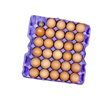 Ugly egg Stock Photos