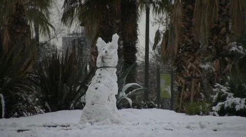Ugly Snowman Stock Footage 713631