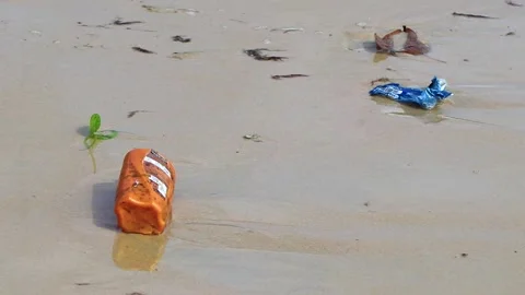 Ugly tropical beach pollution with floating trash and washed ashore rubbish.. Vídeo Stock 335560879