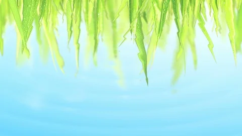 UHD 3D animation of the summer rain Stockbeeldmateriaal 89475170