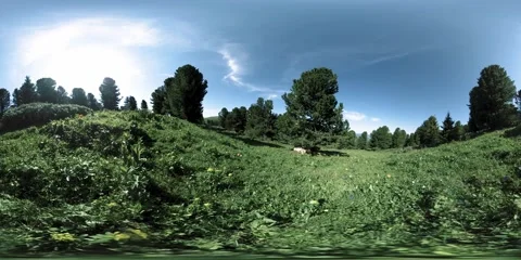 UHD 4K 360 VR of green mountain forest. Sun rays and shadow, grass and pine Stock Footage 152591608