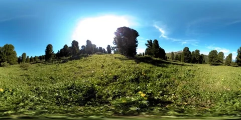 UHD 4K 360 VR of green mountain forest. Sun rays and shadow, grass and pine Stock Footage 152591896