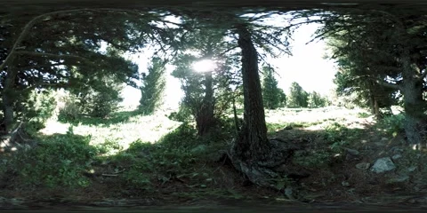 UHD 4K 360 VR of green mountain forest. Sun rays and shadow, grass and pine Stock Footage 152592256