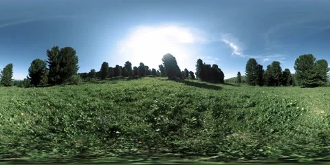UHD 4K 360 VR of green mountain forest. Sun rays and shadow, grass and pine Stock Footage 169635848
