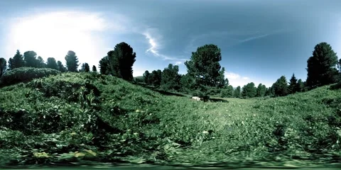 UHD 4K 360 VR of green mountain forest. Sun rays and shadow, grass and pine Stock Footage 169666855