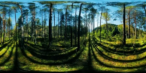 UHD 4K 360 VR Virtual Reality of a beautiful sunny mountain forest landscape Vidéo 72221060