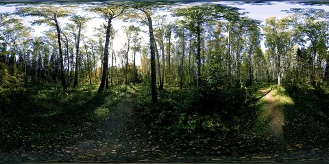 UHD 4K 360 VR Virtual Reality of a city park recreation area. Trees and green Stock Footage 82597105