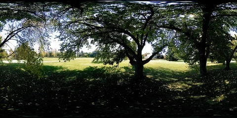 UHD 4K 360 VR Virtual Reality of a city park recreation area. Trees and green Stock Footage 86010155