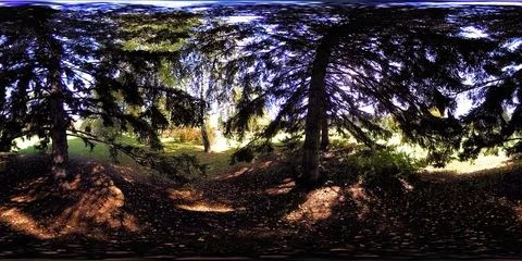 UHD 4K 360 VR Virtual Reality of a city park recreation area. Trees and green Stock Footage 86010538