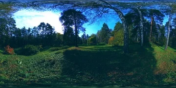 UHD 4K 360 VR Virtual Reality of a city park recreation area. Trees and green Stock Footage 86011287