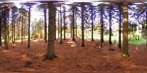 UHD 4K 360 VR Virtual Reality of a city park recreation area. Trees and green Stock Footage 86011717