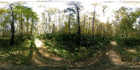 UHD 4K 360 VR Virtual Reality of a city park recreation area. Trees and green Stock Footage 86622557