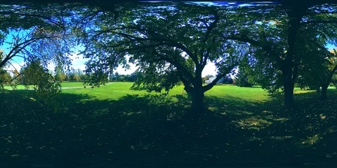 UHD 4K 360 VR Virtual Reality of a city park recreation area. Trees and green Stock Footage 86622978