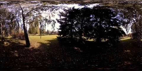 UHD 4K 360 VR Virtual Reality of a city park recreation area. Trees and green Stock Footage 86623104