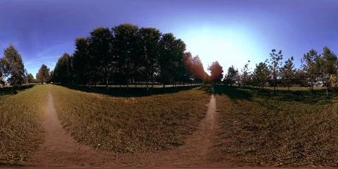 UHD 4K 360 VR Virtual Reality of a city park recreation area. Trees and green Stock Footage 94242203