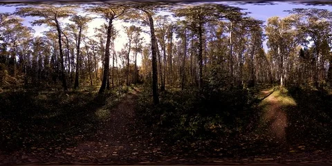 UHD 4K 360 VR Virtual Reality of a city park recreation area. Trees and green Stock Footage 98890012