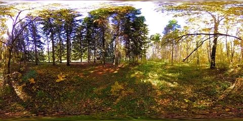 UHD 4K 360 VR Virtual Reality of a city park recreation area. Trees and green Stock Footage 115064689