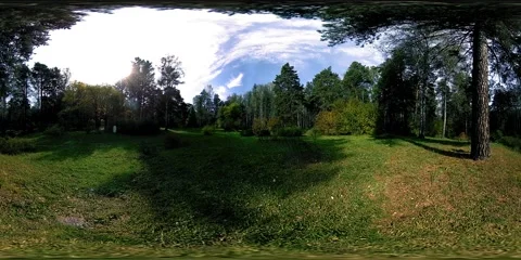 UHD 4K 360 VR Virtual Reality of a city park recreation area. Trees and green Stock Footage 155122984