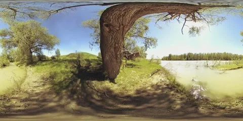 UHD 4K 360 VR Virtual Reality of a river flows over rocks in beautiful mountain Stock Footage 169662938