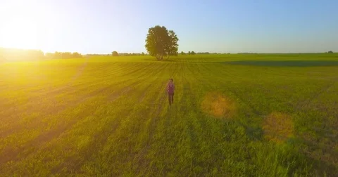 UHD 4K aerial view. Low altitude flight in front of sporty woman at rural field Stock Footage 73588802